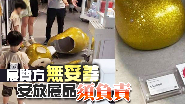 小童碰跌5萬元公仔遭索償 大律師︰10歲以下毋須負法律責任