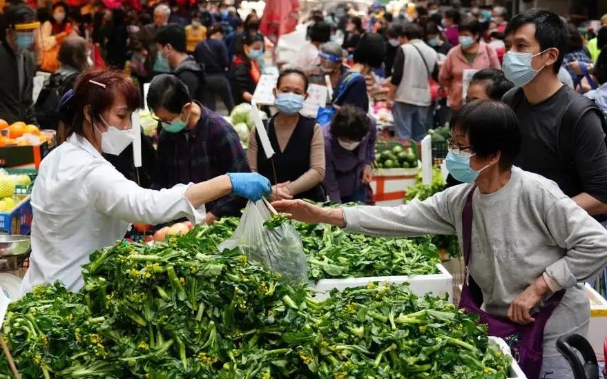 23日內地供港蔬菜2700公噸 供應量與平日相若