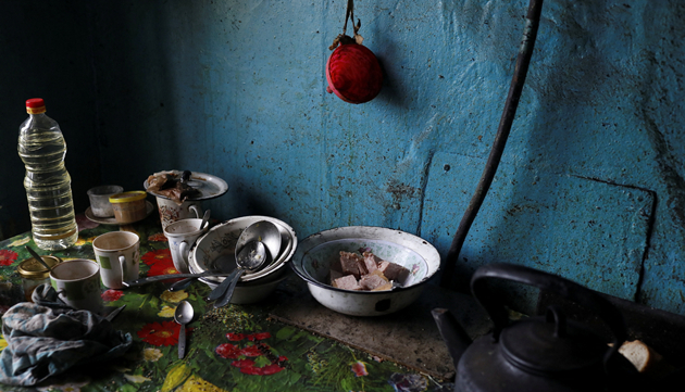 聯合國糧農組織：烏克蘭小麥將大幅減產