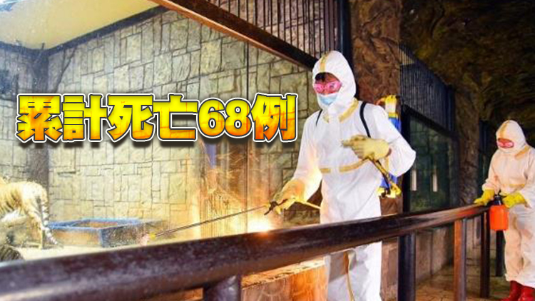 朝鮮新增發熱病例近11.6萬例 累計病例破300萬例