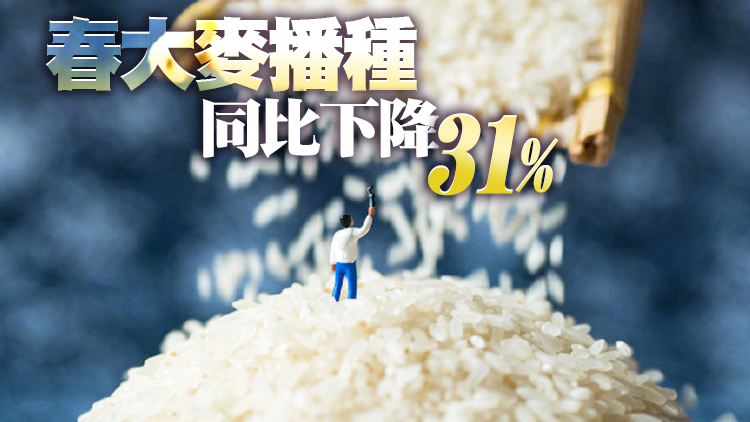 烏克蘭農業部：今年播種面積將下滑20%