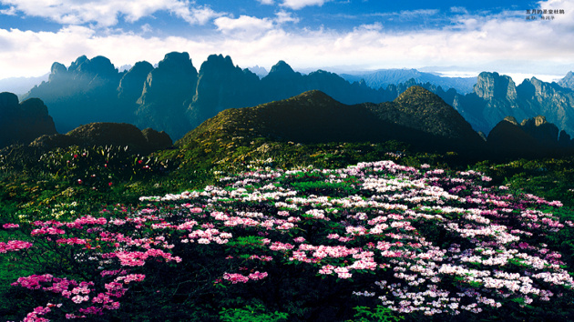 廣西金秀：嚴護珠江水源林 生態經濟富瑤鄉