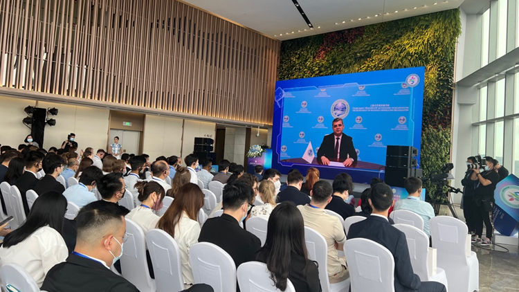 探索國際青年合作新模式 上合組織青年科技創新論壇在深舉辦