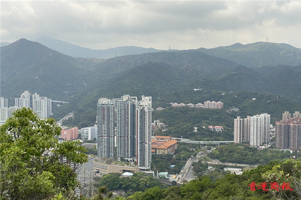 圖集丨水泉澳蝌蚪坪景色怡人 晨運散步老少咸宜