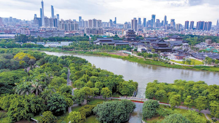 【萬水千山總是情】穗海珠城央濕地如畫魚鳥成群