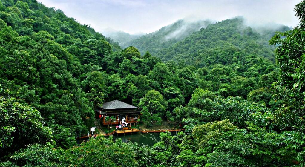 上世紀80年代至今森林覆蓋率由30%升到58.7% 廣東成中國最「綠」省份之一