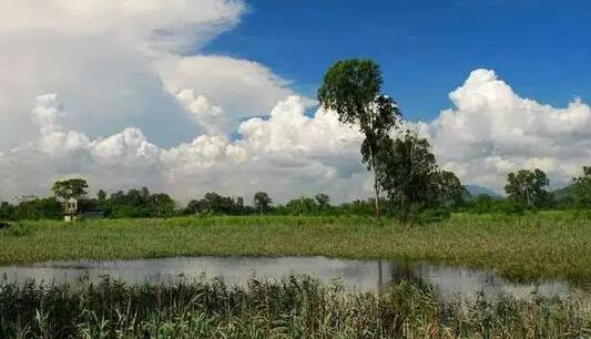新世界元朗永寧村地皮 申土地共享建4600伙