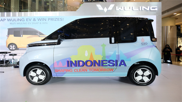 廣西柳州產新能源汽車成為G20峰會官方用車