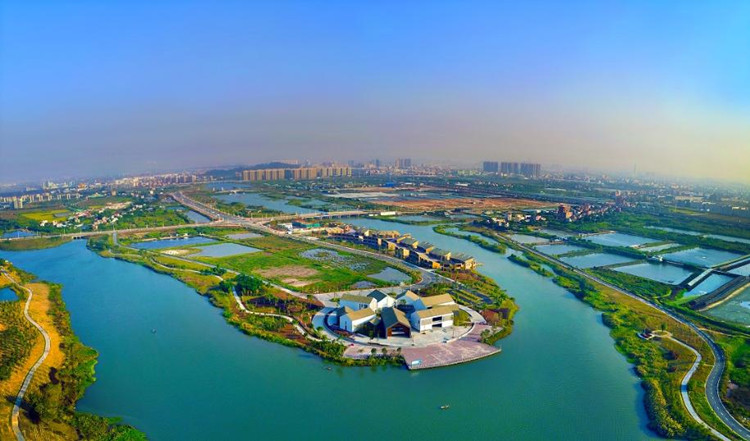 【萬水千山總是情】有片 | 東莞沙田：一顆莞草一座城  白露逐水而居