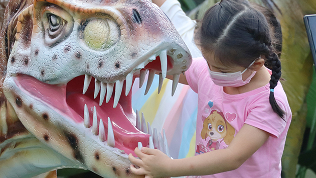 圖集｜猩猩恐龍齊集中環摩天輪 成老少咸宜打卡遊玩勝地