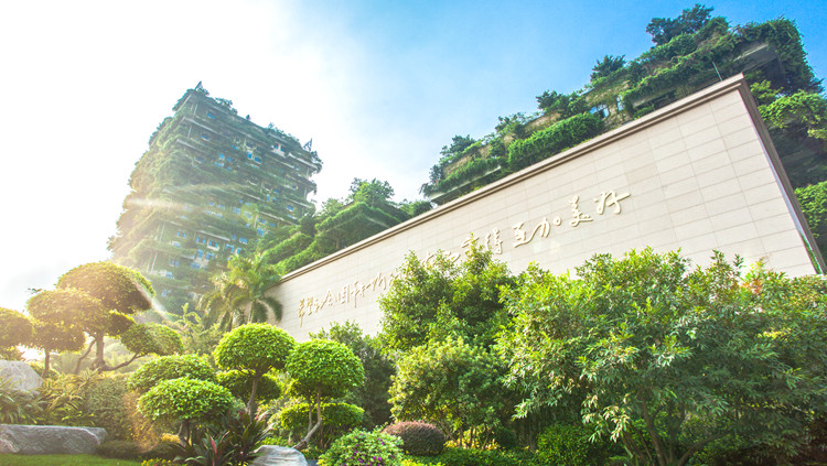 債務結構進一步優化 碧桂園提呈要約回購一筆於7月到期美元票據