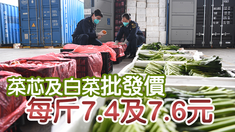 17日內地供港蔬菜2700公噸 與平日供應量相若