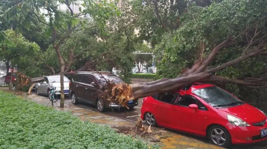 廣東遭龍捲風突襲 一周內發生兩次