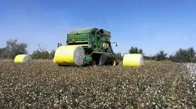 美國涉疆惡法今起生效 中方將反制