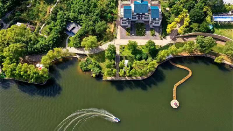 桃花島上「隆中對」：鄉間如何「口袋」和「腦袋」同富起來