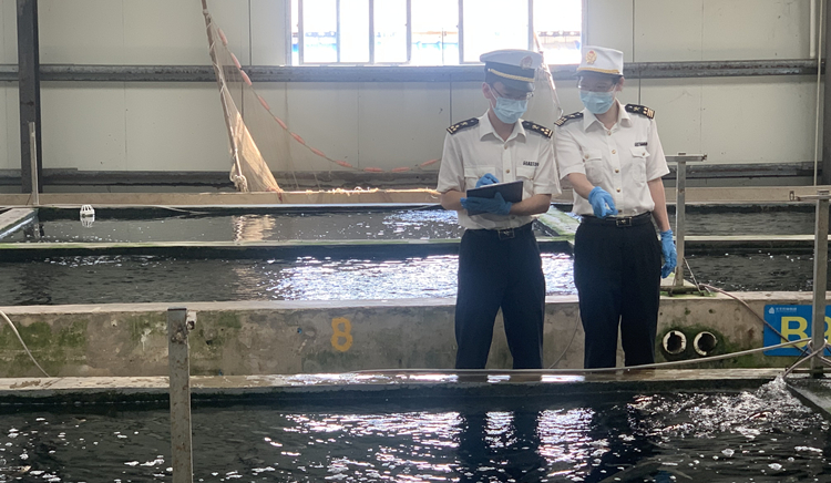 【擁抱大灣區】助力塑造健康灣區  廣州海關保障民生物資穩定供港