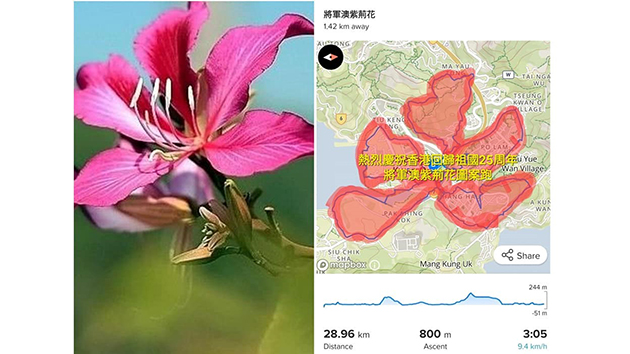 議員用雙腳作畫 把紫荊花開在將軍澳地圖