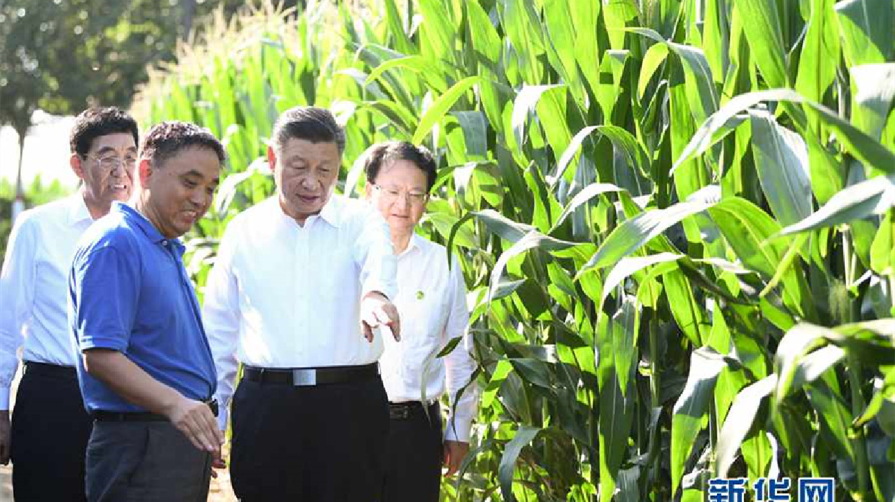 總書記點讃的黑土保護吉林經驗融入國家法律