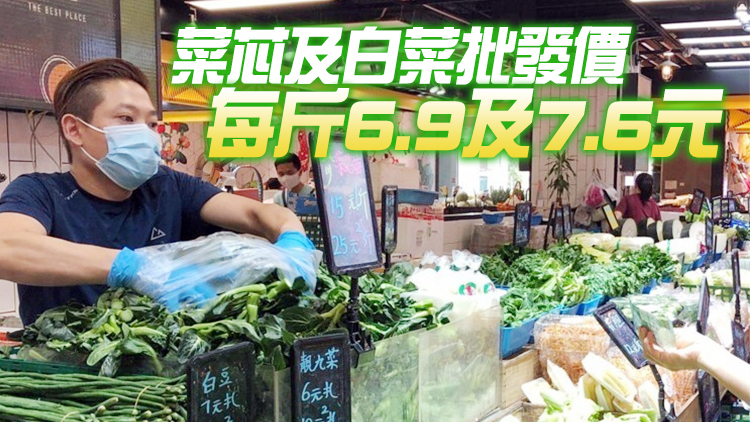 28日內地供港蔬菜逾2500公噸 鮮活食品供應充足穩定