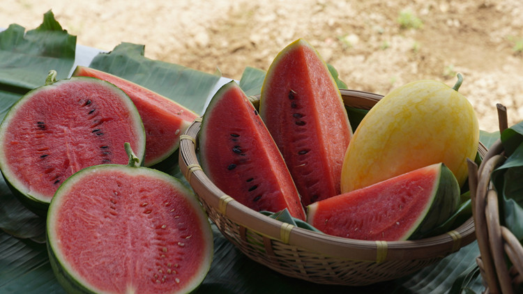 圖集｜大埔農墟七一辦有機西瓜節 漁護署推介3款特色有機西瓜