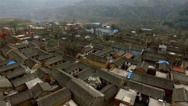 山西平順縣東莊村：築巢引鳳 助力鄉村振興