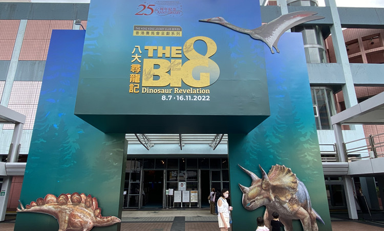 圖集丨科學館恐龍展周五起免費展出8組化石標本