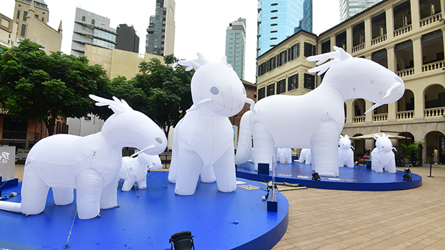 圖集｜中環大館舉行小龍馬遊香港巡迴展