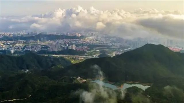 構築高質量支撐體系，“9+2”產業集群加速布局坪山