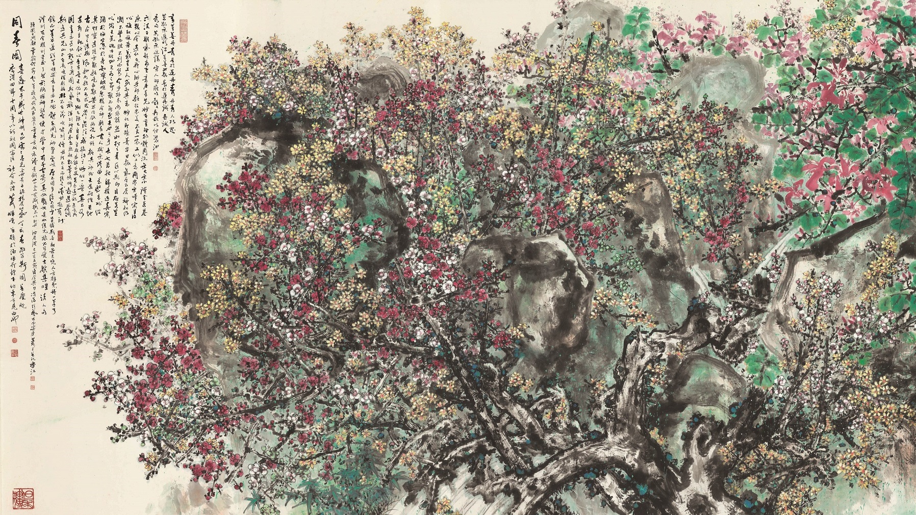 【收藏「琪」觀】風中紫荊終有您