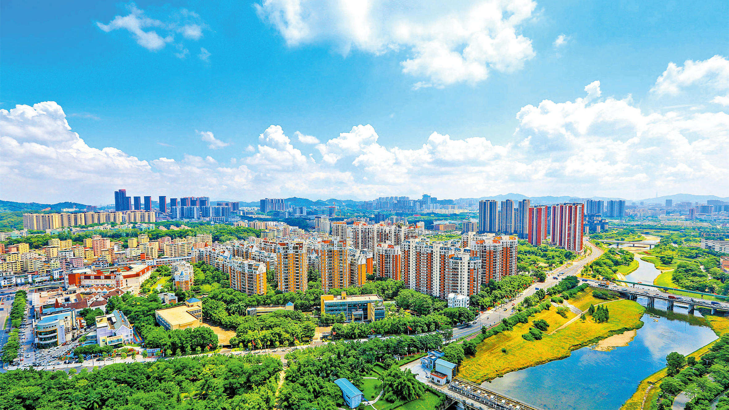 深圳龍華：數字經濟「沃土」已灌溉 創新大灣區優質生態