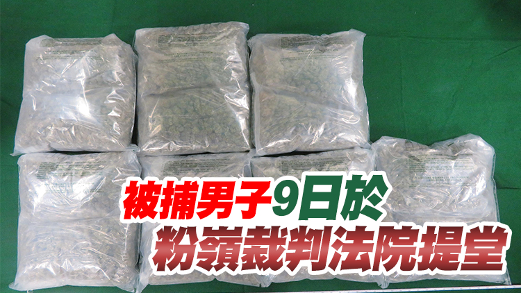 海關沙田檢值130萬元懷疑大麻花 拘捕一名男子