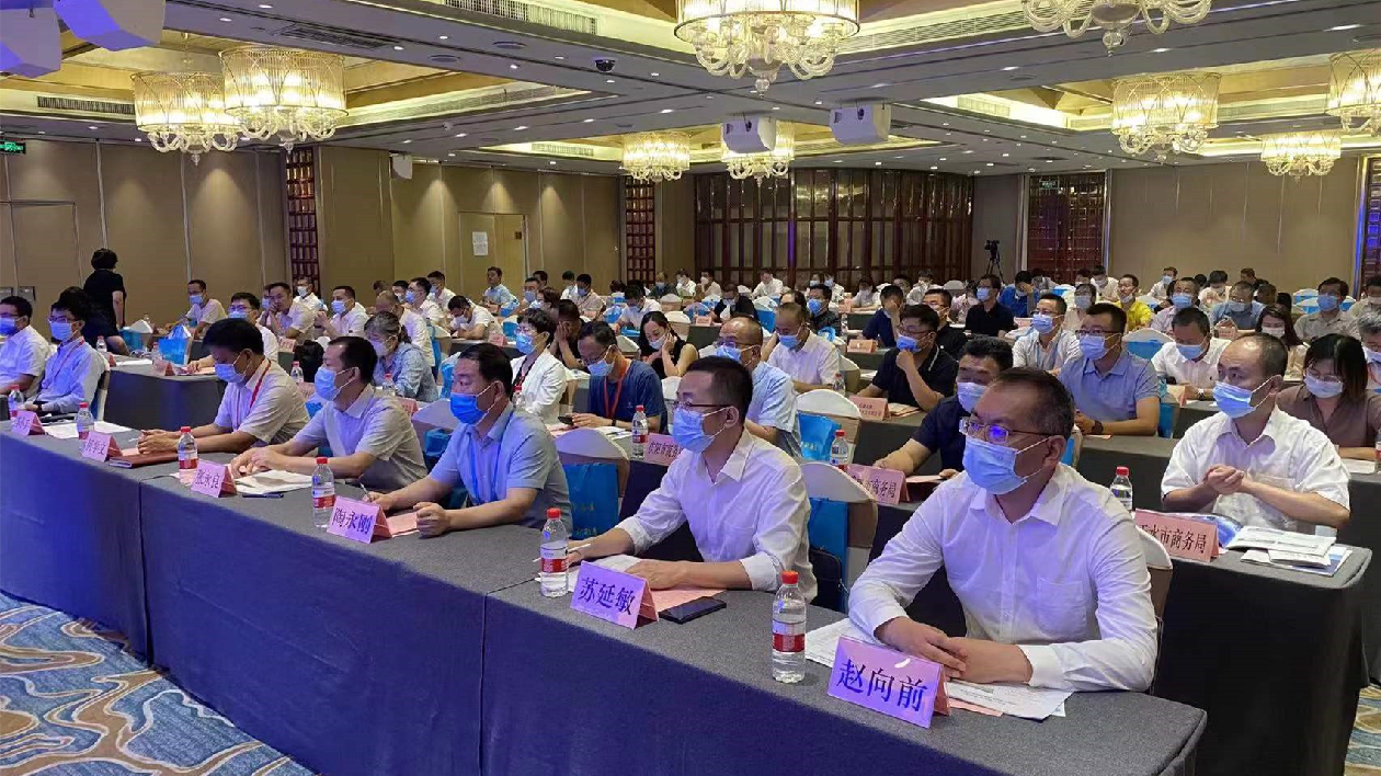 桂隴攜手共促西部陸海新通道