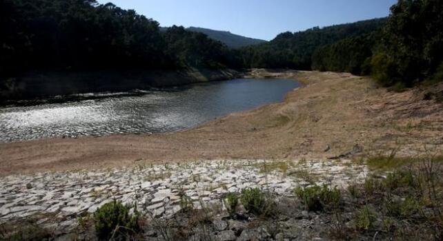 葡萄牙、西班牙迎熱浪 野火導致數十人受傷
