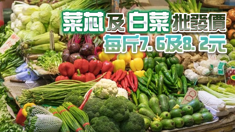 11日內地供港蔬菜2800公噸 鮮活食品供應充足穩定