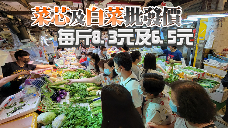 14日內地供港蔬菜2700公噸 鮮活食品供應充足穩定