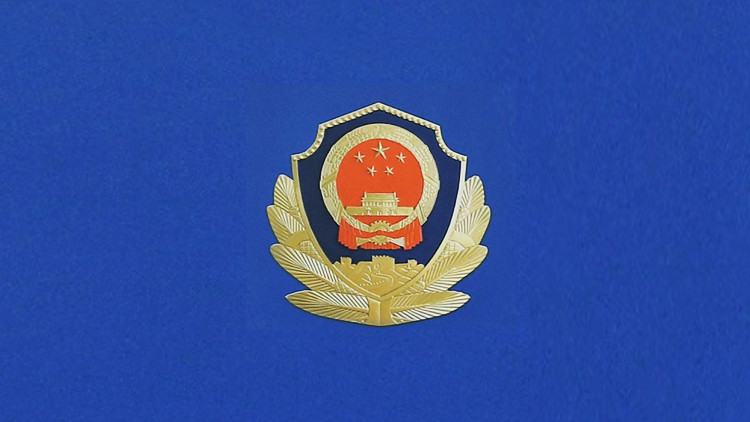 警方「百日行動」抓獲違法犯罪嫌疑人7.2萬名