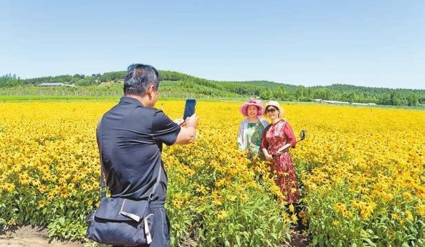 【萬水千山總是情】雙鴨山紫雲嶺花香襲人
