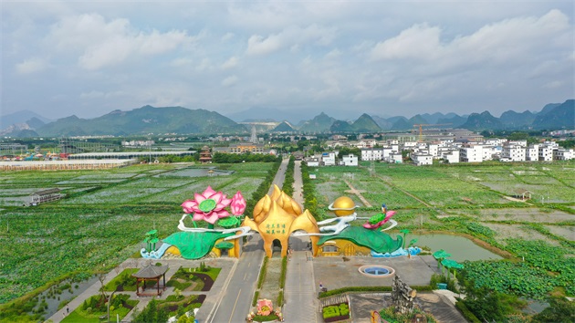 廣西貴港覃塘區將舉辦荷花文化旅遊節對接粵港澳大灣區