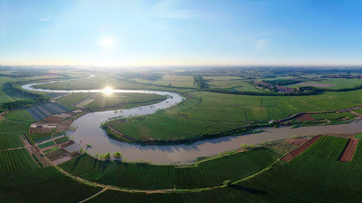 山東德州萬畝留白「復活」千年大運河