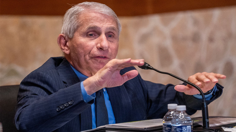 福奇稱將在拜登任期結束前退休