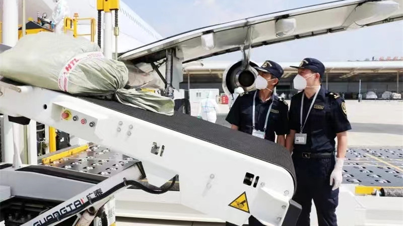 自貿煙台「空中快線」助力RCEP物流暢通