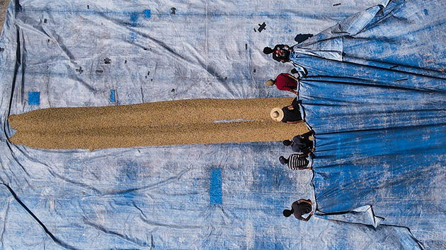 東盟明年迎來新成員？東帝汶盼加入