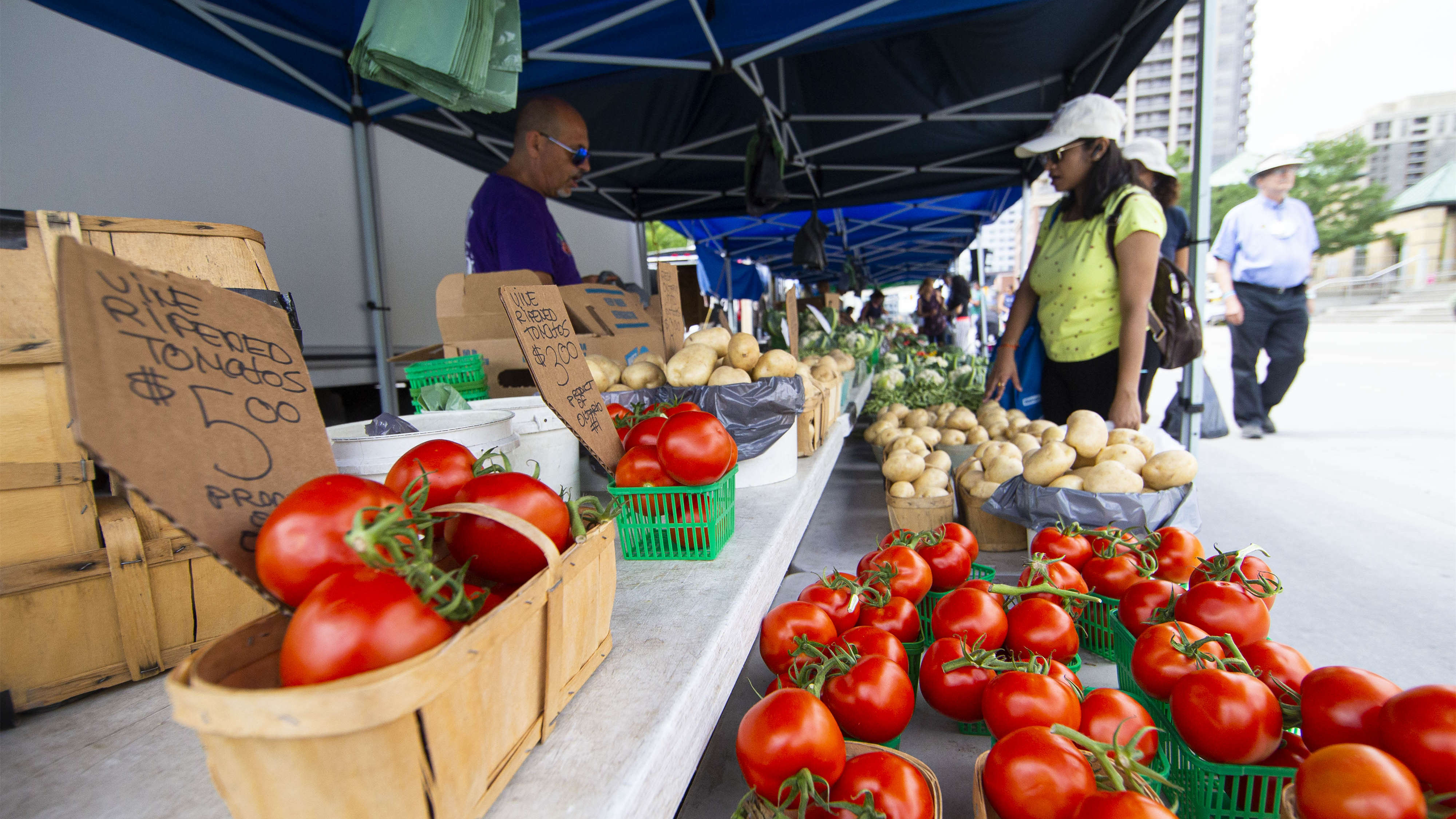 加拿大6月份通脹率8.1% 再創近40年來新高