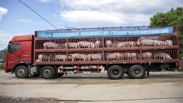 韶關活豬持續供港 保障港市民「菜籃子」