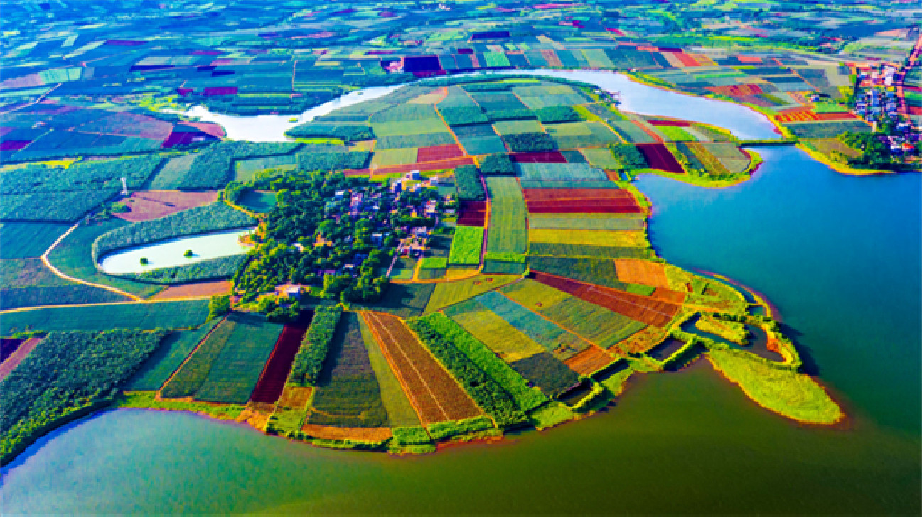 粵涉農貸款餘額近2萬億元