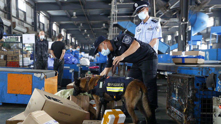 公安部：「百日行動」以來打掉黃賭犯罪團夥960餘個