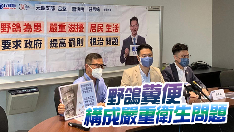 民建聯籲政府嚴肅打擊餵飼野鴿 罰則與餵飼野豬看齊