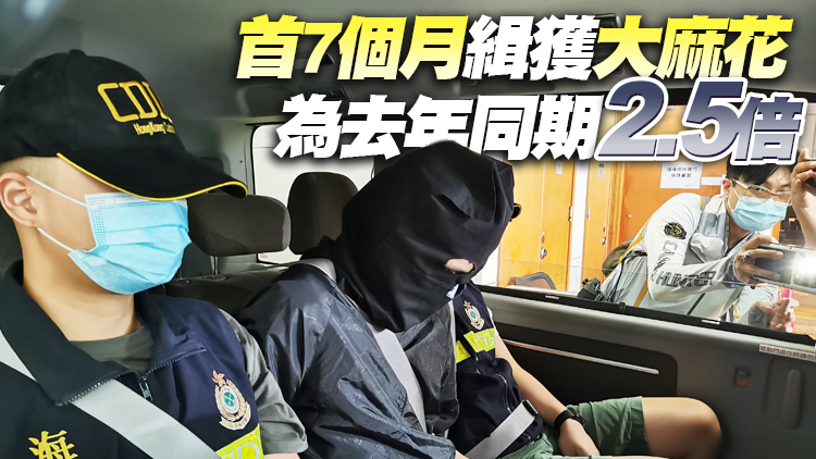 海關搗破上水毒品儲存中心 緝獲3000萬元大麻花拘1男