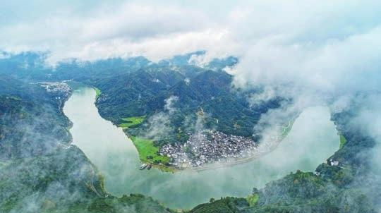 【萬水千山總是情】「茶園」成「景區」 歙縣茶旅入佳境