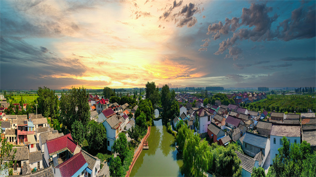 【萬水千山總是情】江蘇興化：做亮生態底色 留下樹里鄉愁